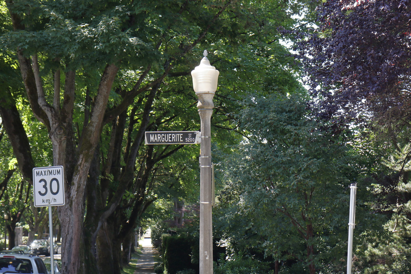 The neighbourhood still uses these old-school street lights made of concrete, instead of the more modern green metal poles
